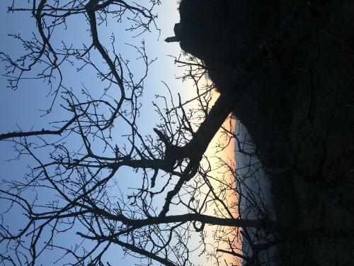 Notre Dame du Mont Carmel [26-03-2022](IMG_4666).jpg